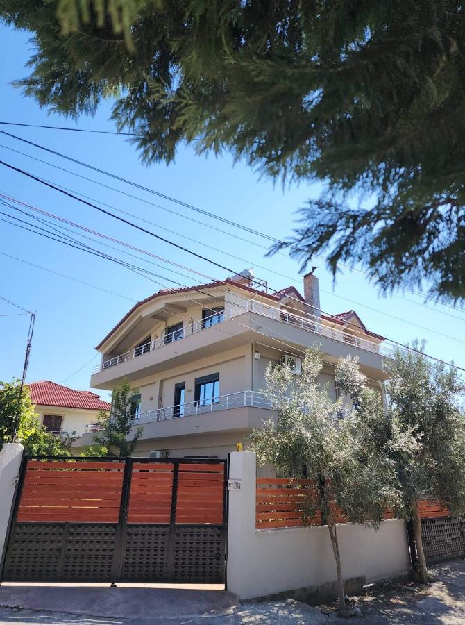 Modern Apartment By Ceni, Ελβασάν Εξωτερικό φωτογραφία